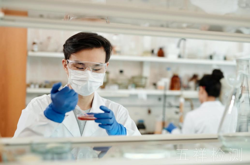 K8������(�й�)����Ӯ�ҡ�һ������