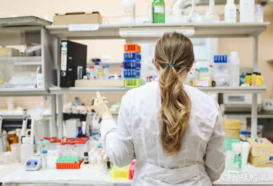 K8������(�й�)����Ӯ�ҡ�һ������