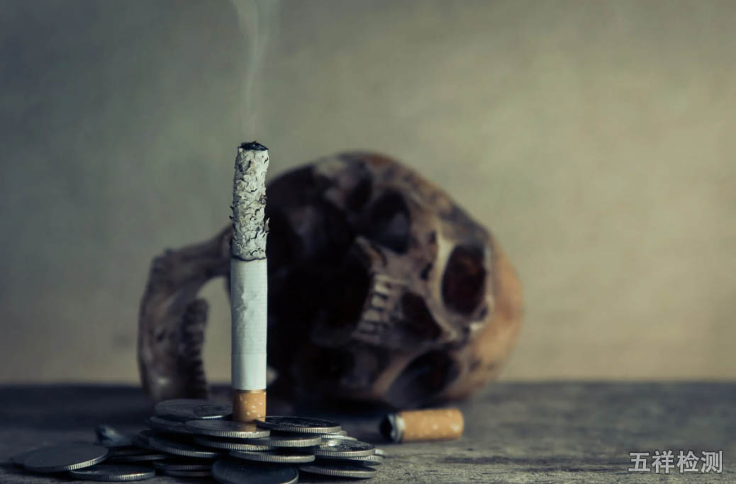 K8¿·¢¡¤(Öйú)ÌìÉúÓ®¼Ò¡¤Ò»´¥¼´·¢